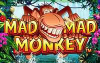Mad Mad Monkey