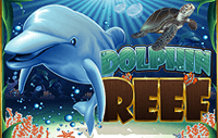 Dolphin Reef